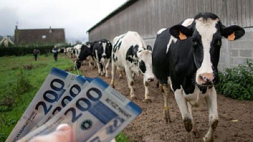 Azərbaycanda sığorta olunan 