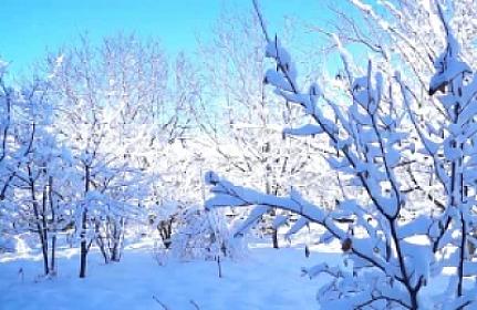 Sabah güclü qar yağacaq -  