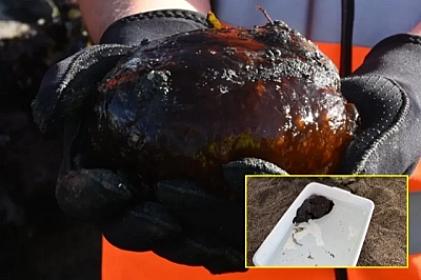 Çimərlikdə 5 yaşlı oğlan naməlum məxluq tapdı - 