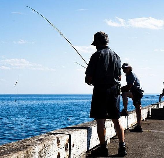 İnsan boyunda nəhəng 