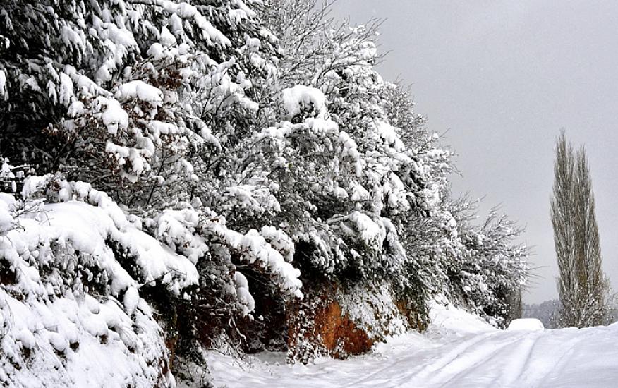 Temperatur 8 dərəcə enəcək, yollar buz bağlayacaq - 