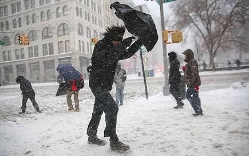 Havalı hay-həşir - 