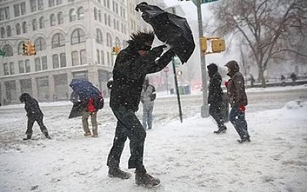 Havalı hay-həşir - 