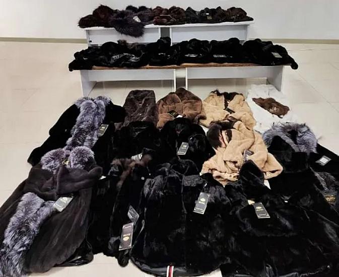 Azərbaycana qanunsuz xəz dəri məhsullarının keçirilməsi cəhdinin qarşısı alınıb