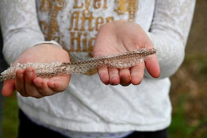 İlan dərisi ilə qurulan plan: 