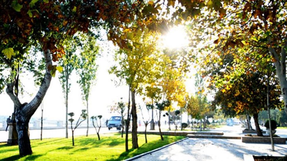 Fevralda 20 dərəcə isti - 