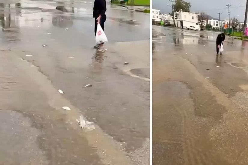 Gölməçə daşdı, balıqlar yola səpələndi - 