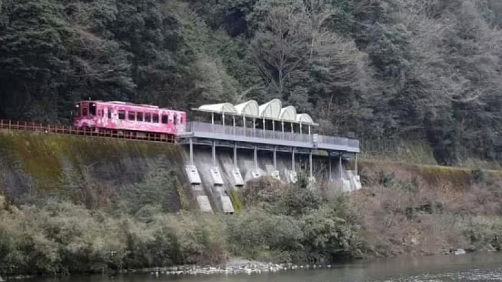 Girişi və çıxışı olmayan qəribə qatar stansiyası: 