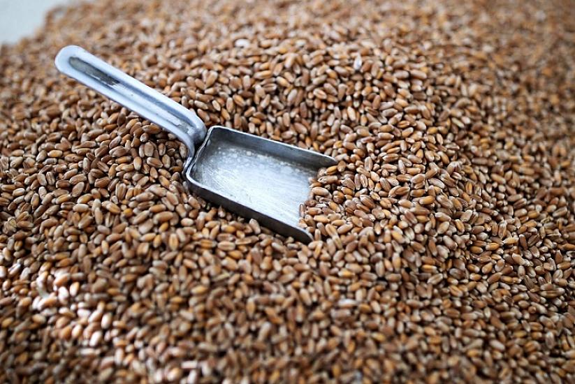 Azərbaycan buğda idxalını 50 faiz artırıb