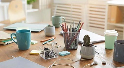 Некоторые поведения, считающиеся «странными», являются признаком высокого интеллекта