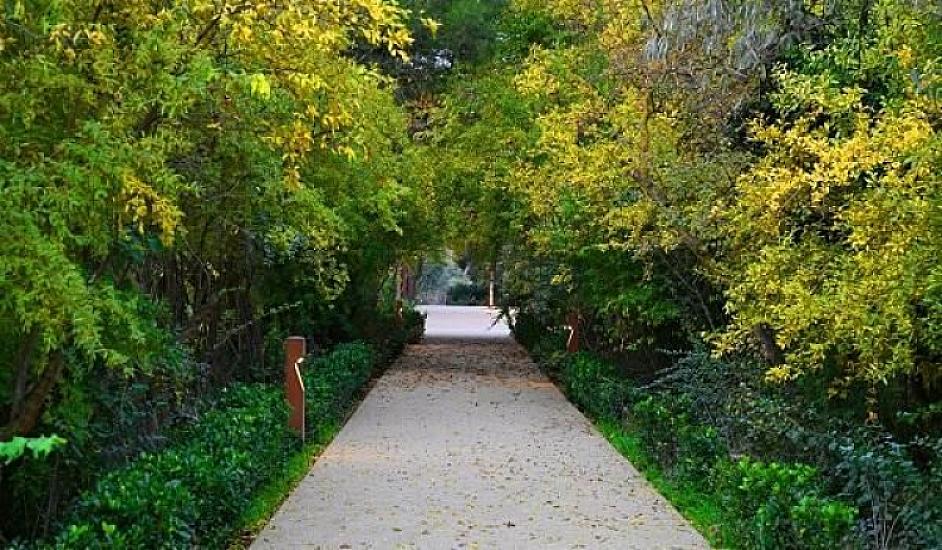 “Mərkəzi Nəbatat və Dendrologiya Bağı” MMC təşkil edilir