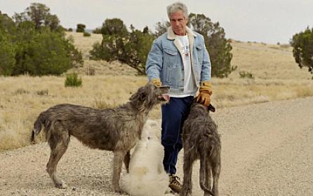 Cəsəd və dəlilləri orada yandırıb? -