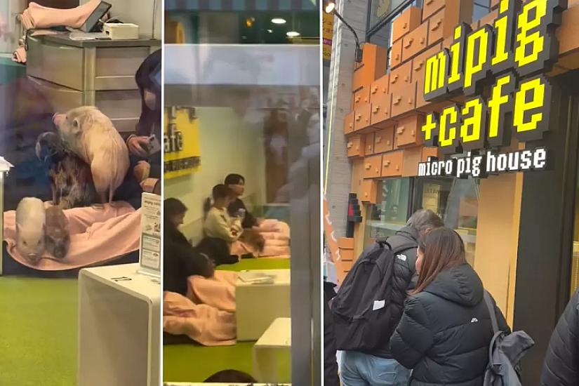 An unusual place in Japan: