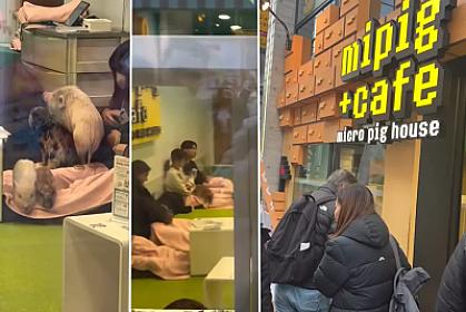 Yaponiyada qeyri-adi məkan: 