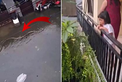 Sosial şəbəkələri silkələyən görüntülər: 