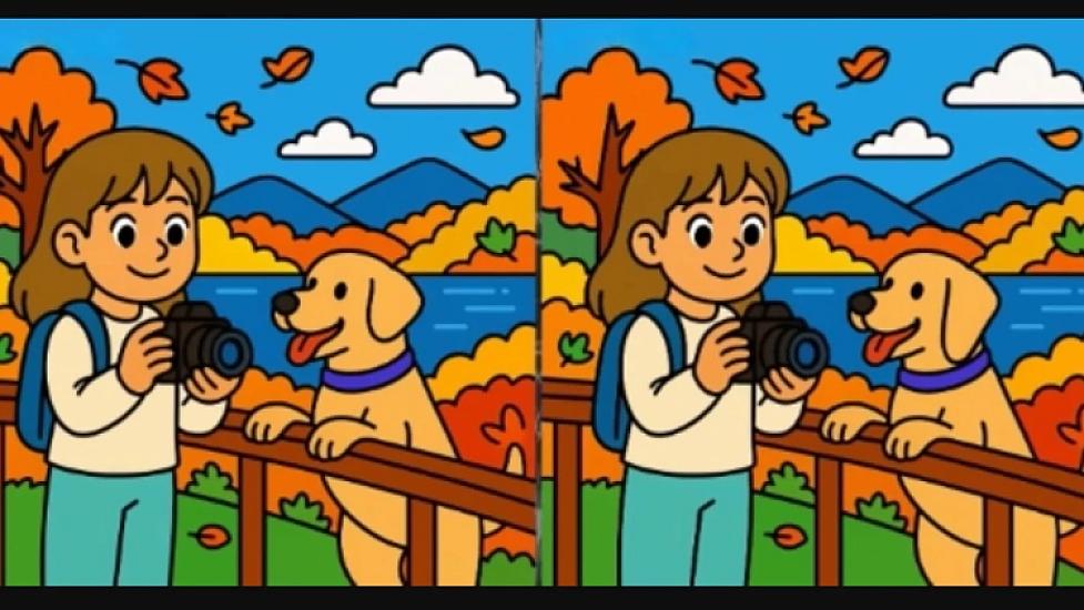 3 differences between the two pictures:
