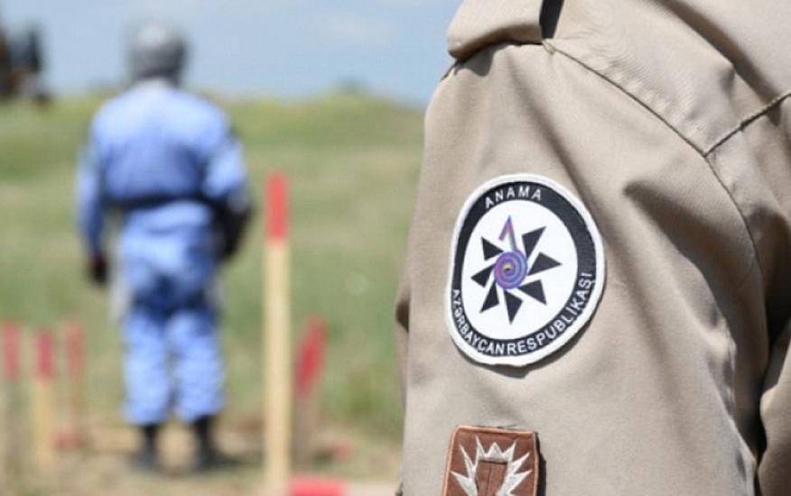 ANAMA-ya yeni vəzifə 