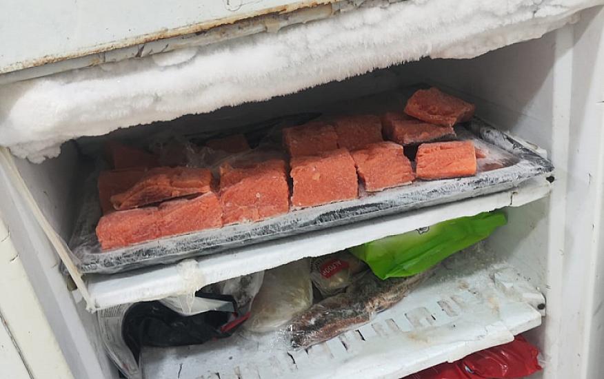 “SushiNano”nun fəaliyyəti dayandırıldı - 