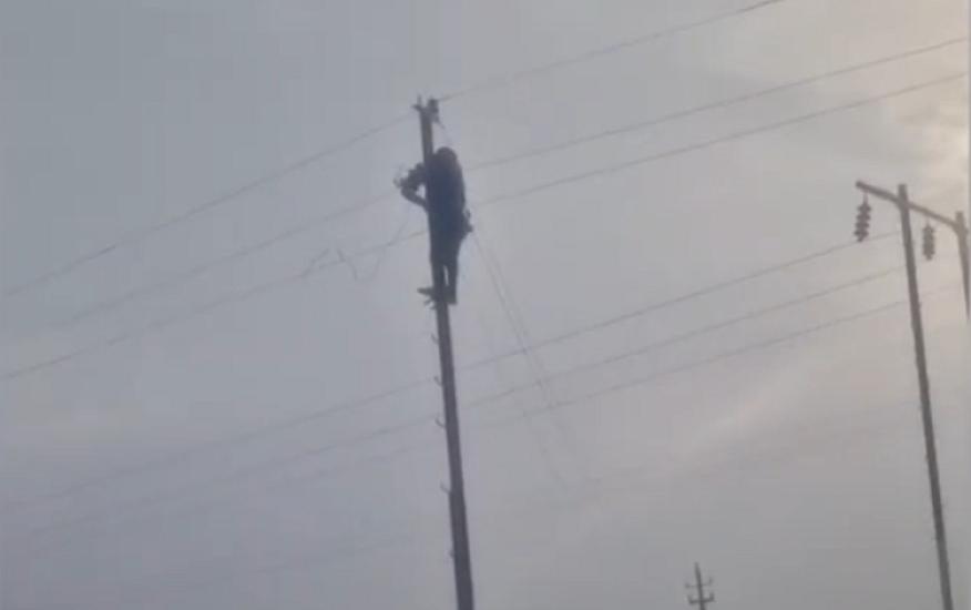 “Azərişıq” güclü küləyin yaratdığı fəsadları aradan qaldırır - 