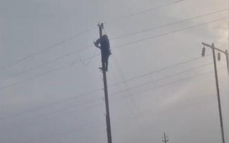 “Azərişıq” güclü küləyin yaratdığı fəsadları aradan qaldırır - 