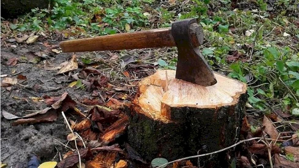 Bakı və Sumqayıtda 