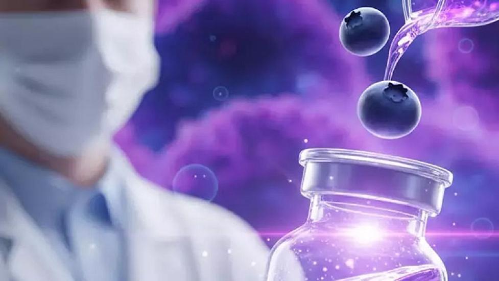 Bu meyvə bədəndə yığılan yağları parçalayır – 