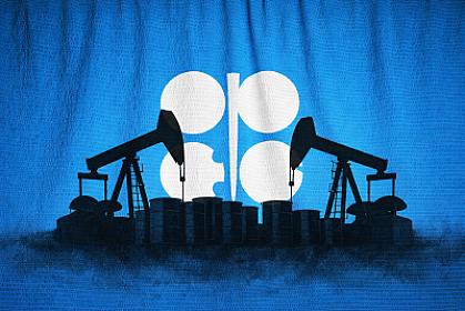 OPEC+ coalition: production quotas are partially updated