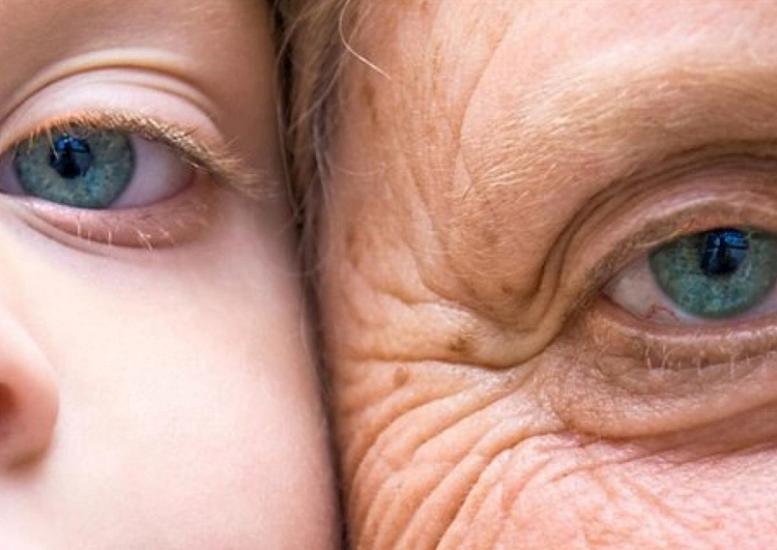 The secret of longevity has been discovered