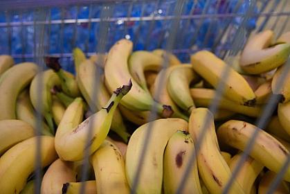 Kimlərə banan olmaz? - 