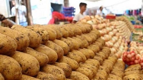 Kartofun qiyməti niyə artır?- 