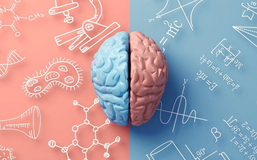 1900 человек наблюдали в течение 8 лет — результаты исследования, связанного с мозгом, вызвали удивление