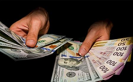 Dollar: bir kursun 8 ili