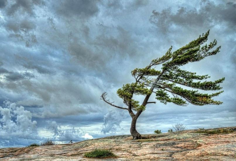 В связи с ветреной погодой