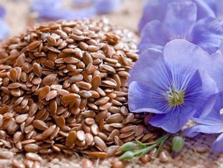 Семена, очищающие артерии: