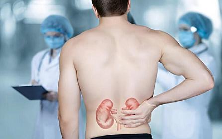 Bu qidalar böyrək daşı 