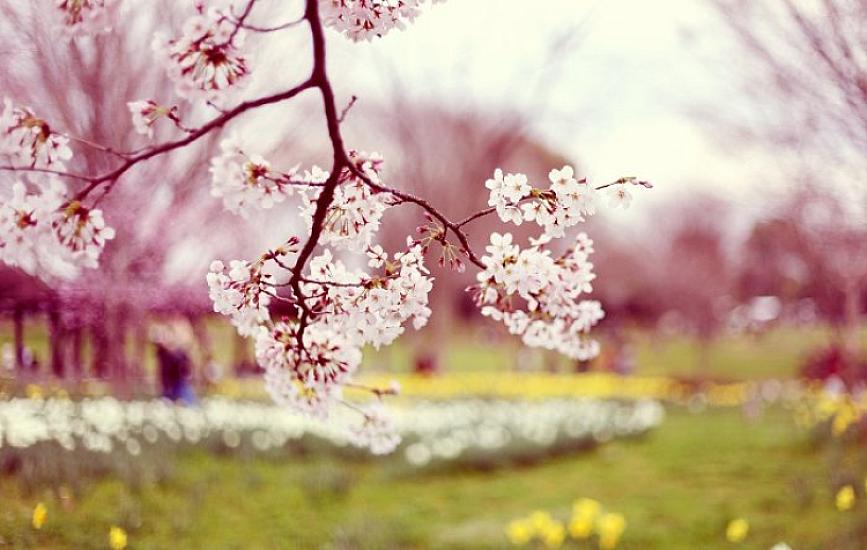 Yaz Azərbaycana bu saatda