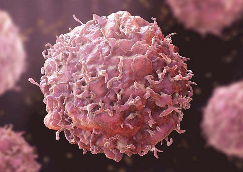 Xərçəngin dərmanı 