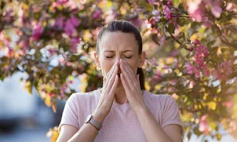 Allergiya, yoxsa virus? -