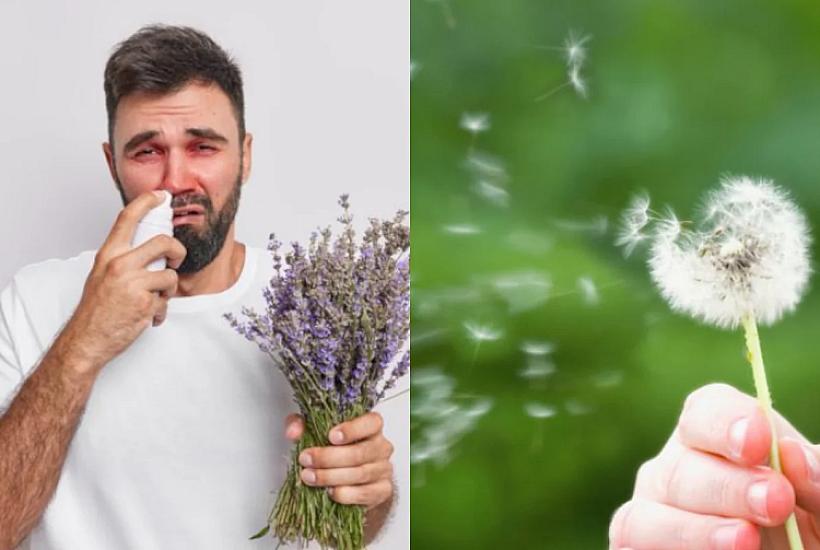 Which is the most common in the spring allergy season