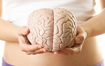 Dondurulmuş beyin yenidə