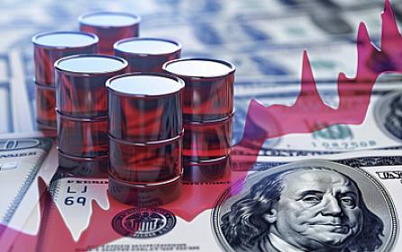 Neftimizin qiyməti 105 dolları 