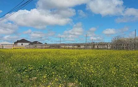 Bu torpaqların icarəyə verilməsi üzrə müsabiqə 