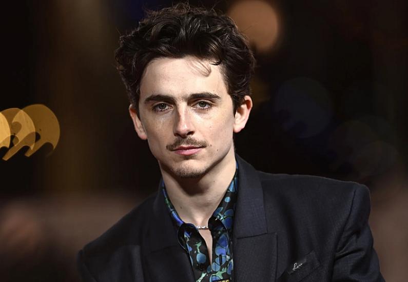 Aparıcıdan Timoti Şalametə: 