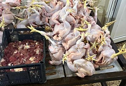 Toyuq kəsilən sexdə xeyli sayda nöqsanlar - 