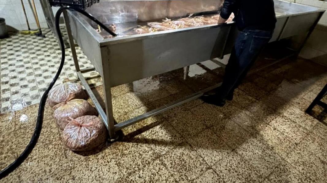 NYyQOEKkP5VMzD7R8TTs5R9dSNbxdoZW4Y49BecE_1200 (1)