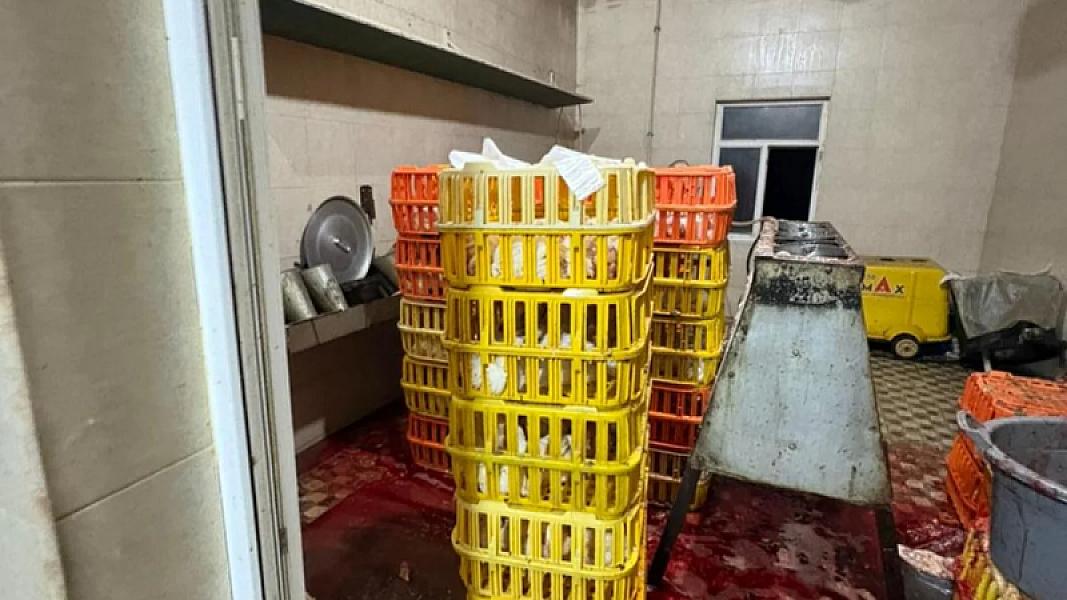 6g9fB7TNENpB6n6PZr9r4snPS6e2hW0AY7UlMmjo_1200