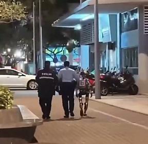 Qadını qorxudan robot: