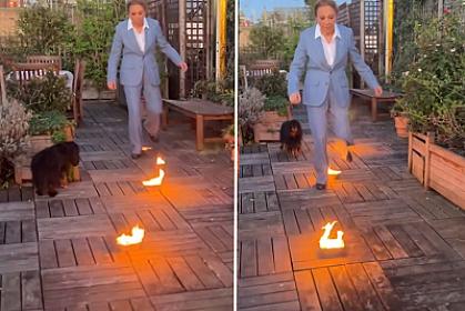 Rza Pəhləvinin həyat yoldaşı BU VİDEOnu paylaşdı - 