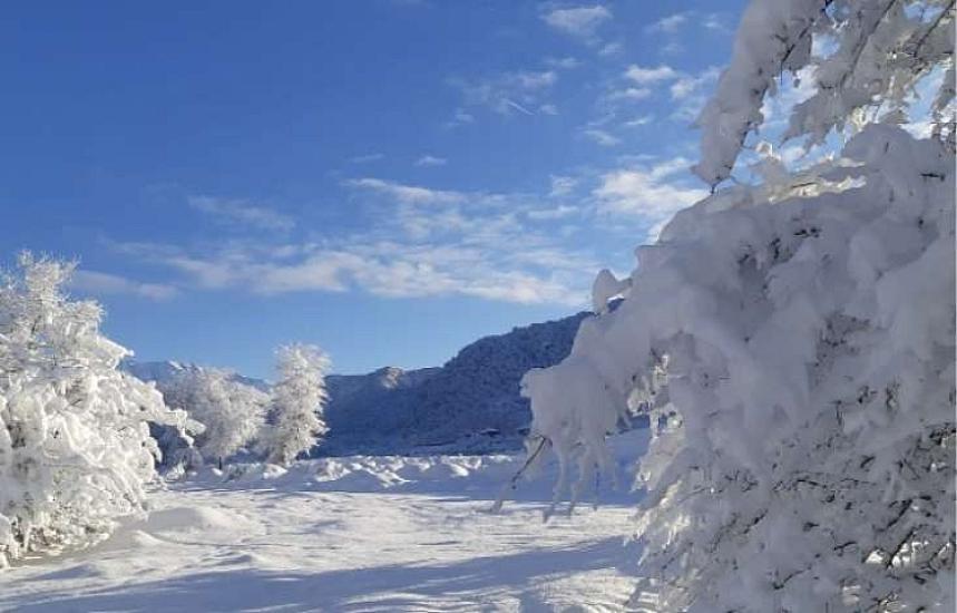 Bu ərazilərə qar yağacaq - 