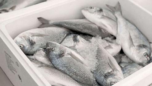 Marketlərdən balıq alarkən 